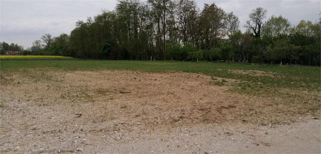 arillo real estate theme