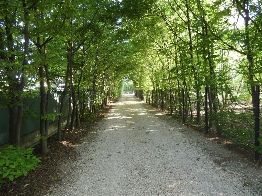 arillo real estate theme